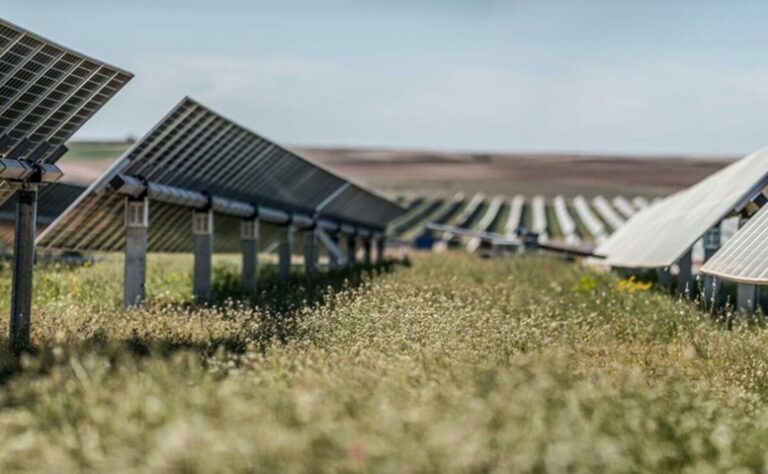 Central and Eastern Europe leads solar revolution
