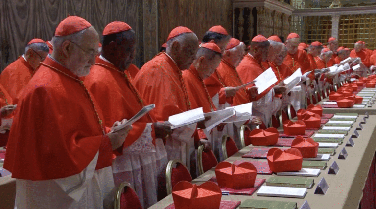 Catholic church leaders convene in Vatican for papal election