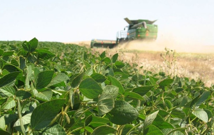 China turns to Argentina for soy, bypassing U.S.